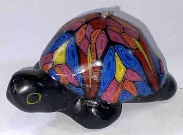 Turtle Carneval