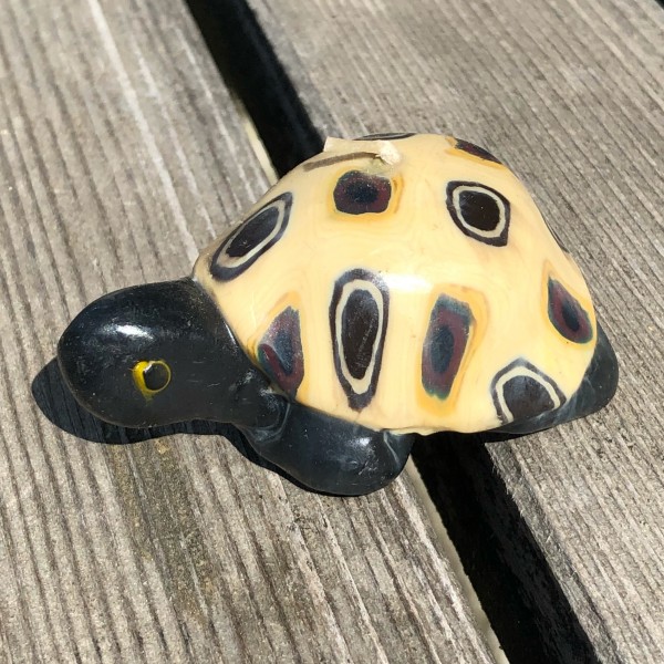 Turtle Lee