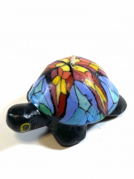 Turtle Lampi