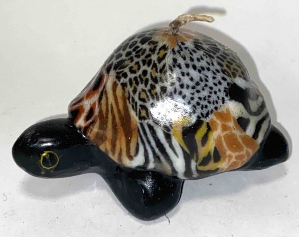 Turtle Multi