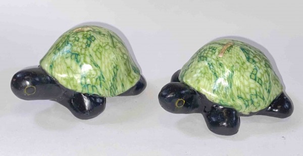 Turtle Green