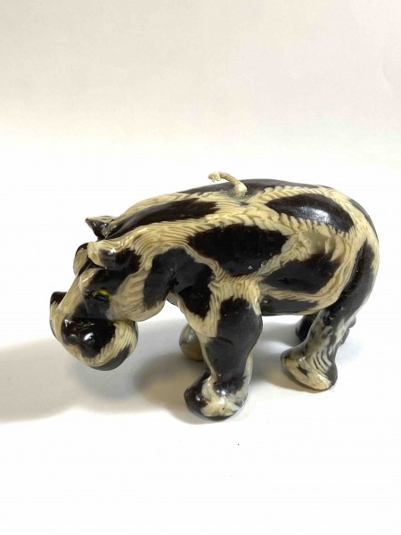 Hippo Ben