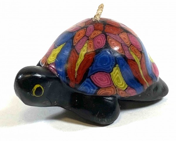 Turtle "Color"